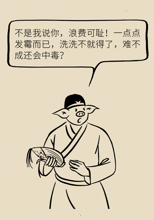 发霉食物不能吃02安全粮油怎么选