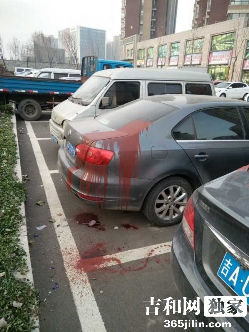 先是扎车胎后是喷、泼油漆 长春一小区外停车场多车连遭黑手 多辆车被泼油漆 市民供图