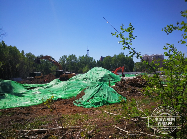 IMG_20200513_102923.jpg IMG_20200513_102923.jpg