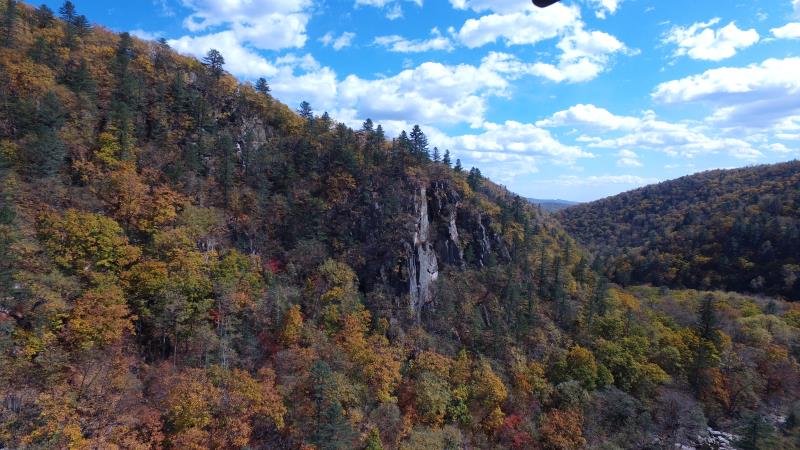 吉林兰家大峡谷红松阔叶林