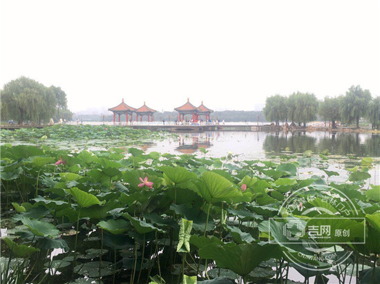 图片8.jpg
